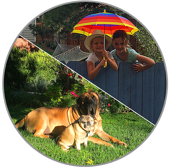 Kid & Pet Friendly Landscape